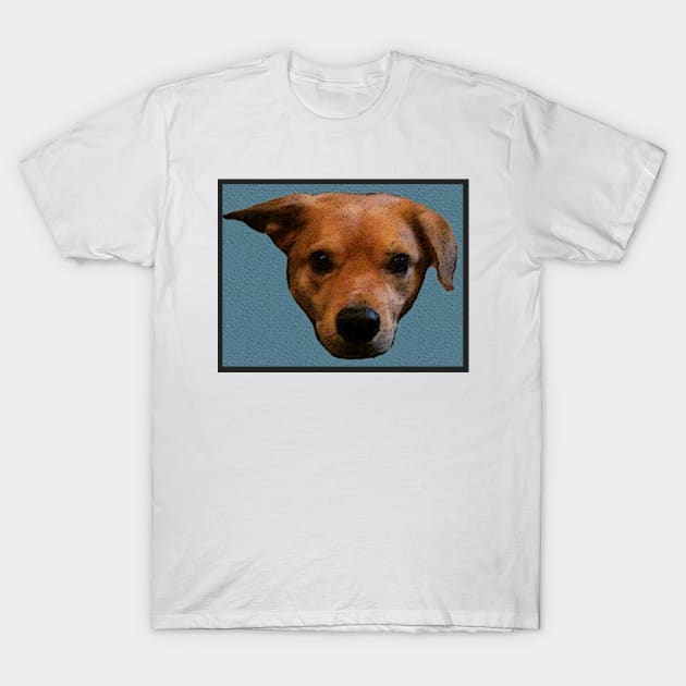 Banjo Portrait T-Shirt by ErinBrieArt